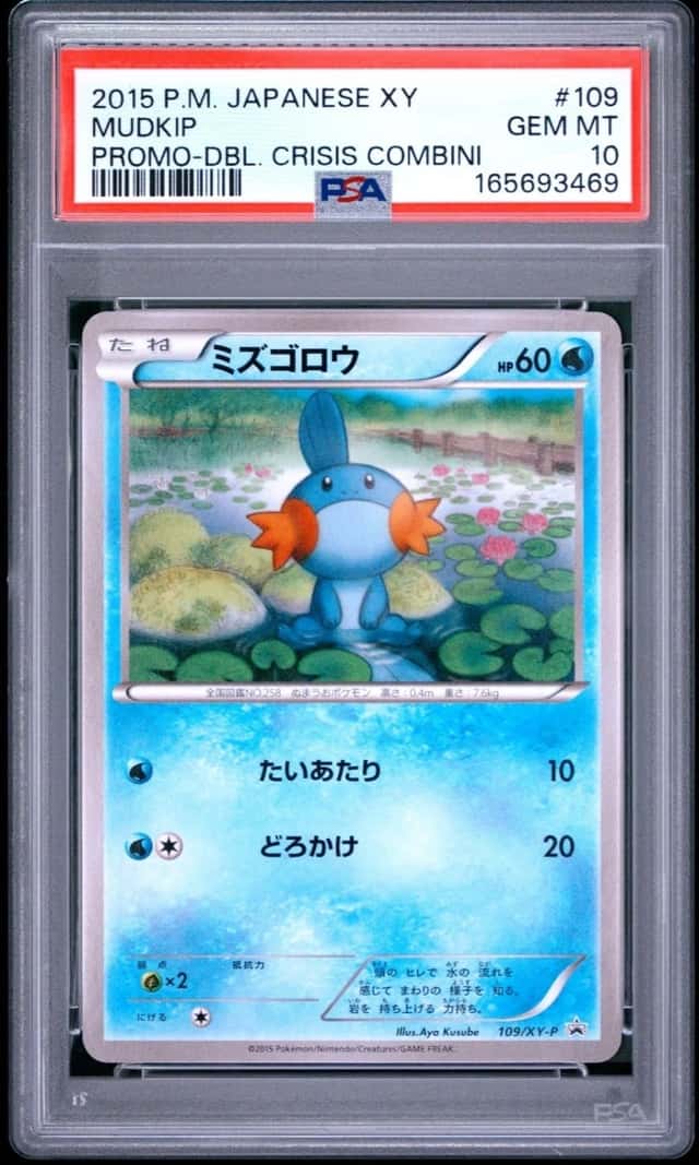 Mudkip