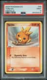 Torchic