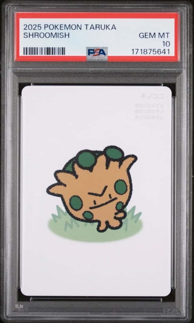 Shroomish