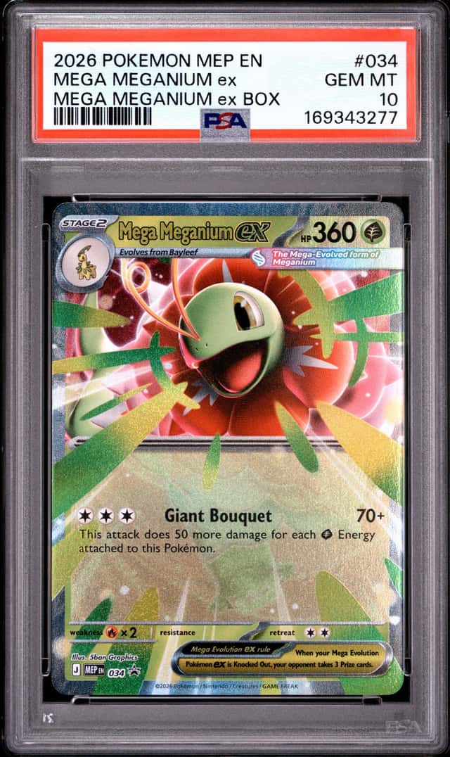 MEGA MEGANIUM ex