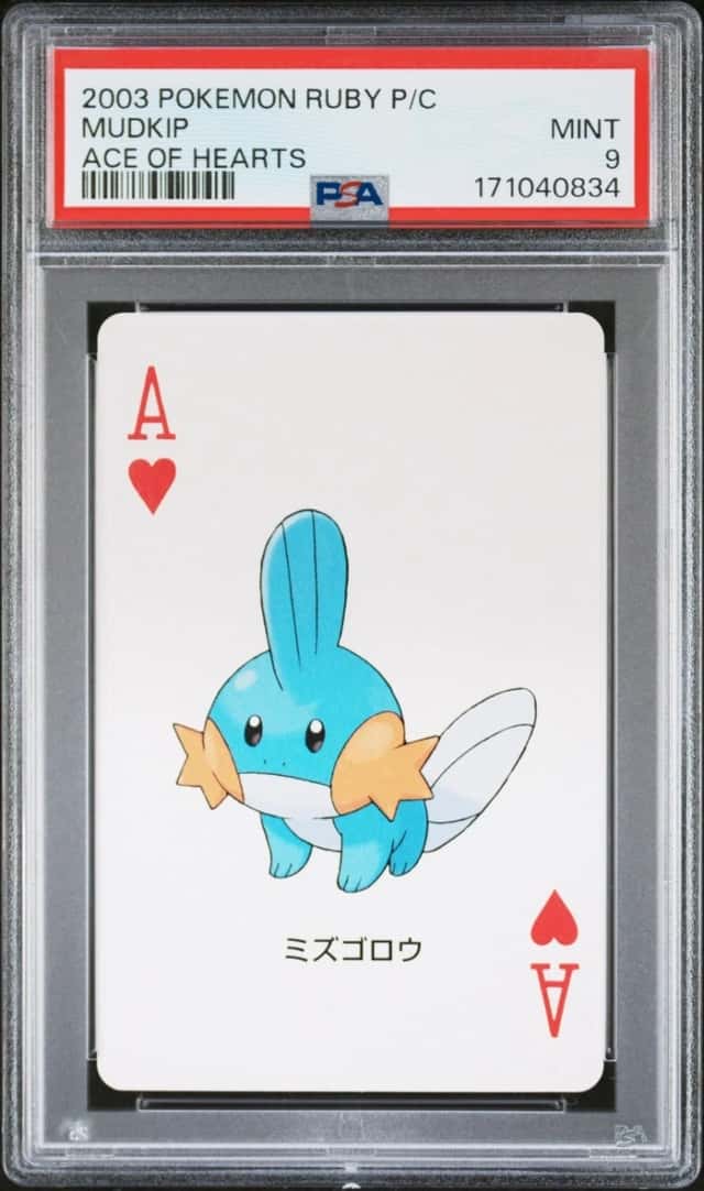 Mudkip