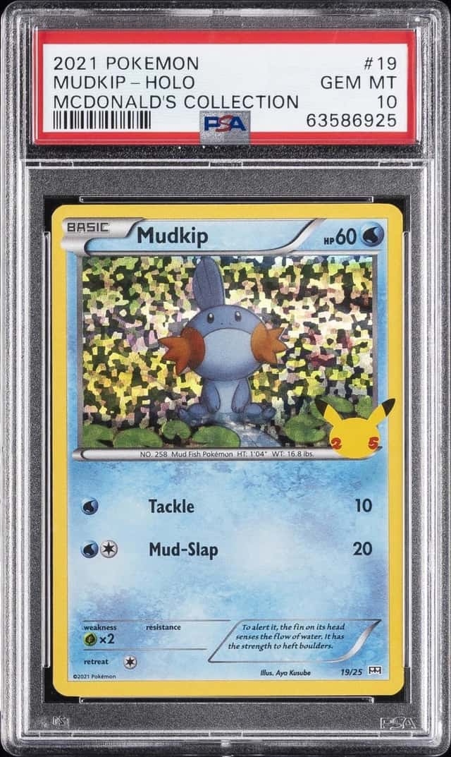 Mudkip