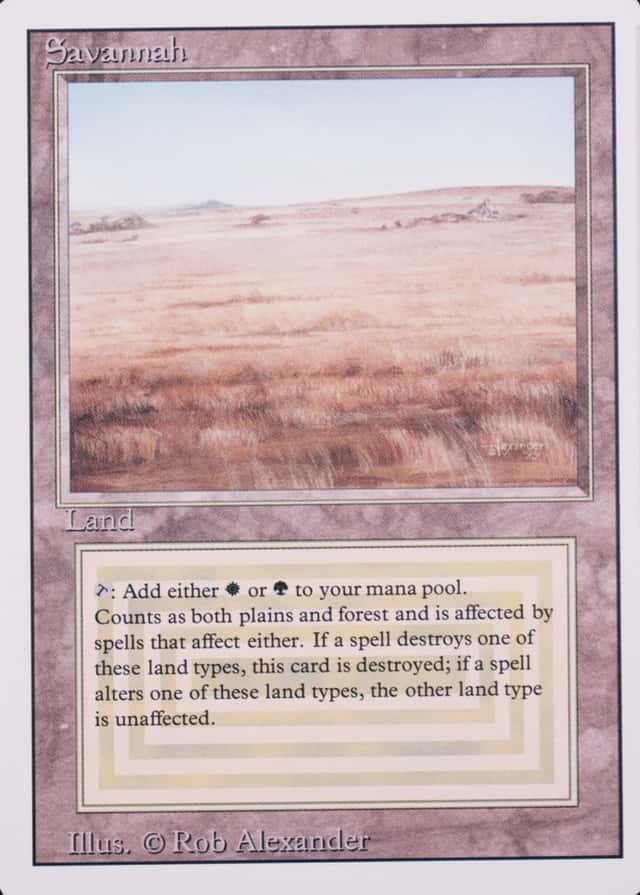 Base / no variant