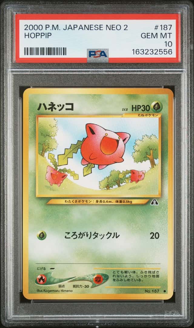 Hoppip