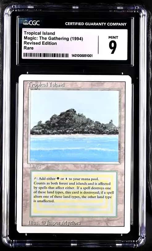 Tropical Island