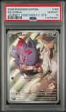 N'S Zorua