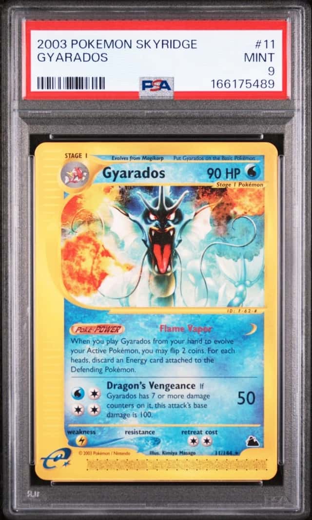 Gyarados