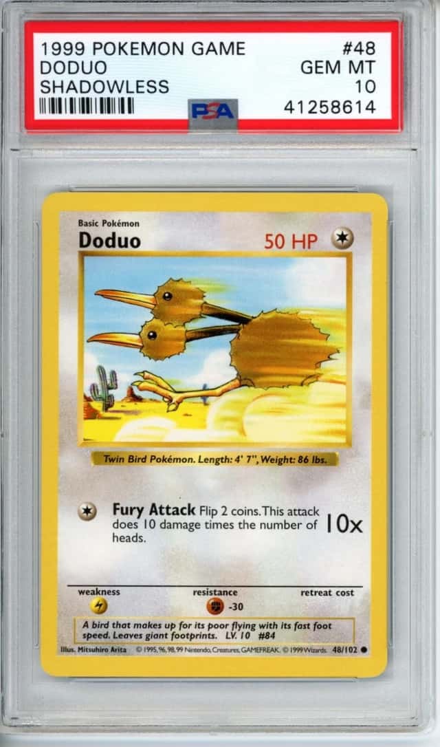 Doduo
