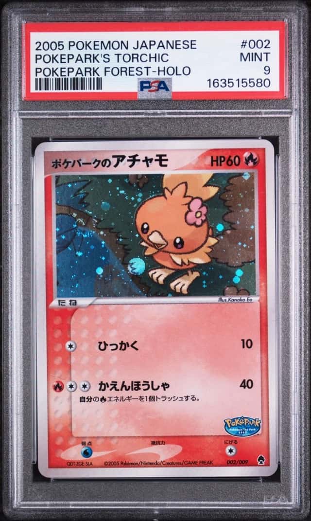 Pokepark's Torchic