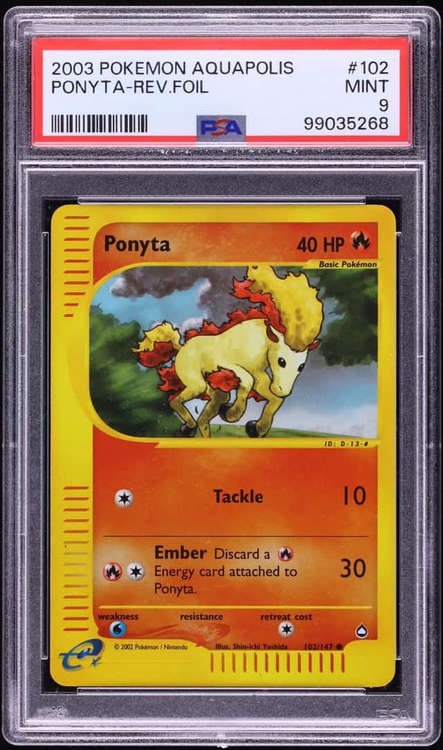 Ponyta