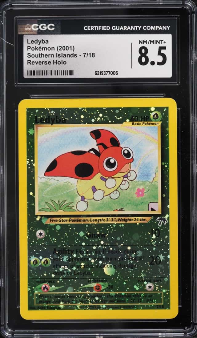 Ledyba