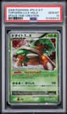 Torterra Lv X