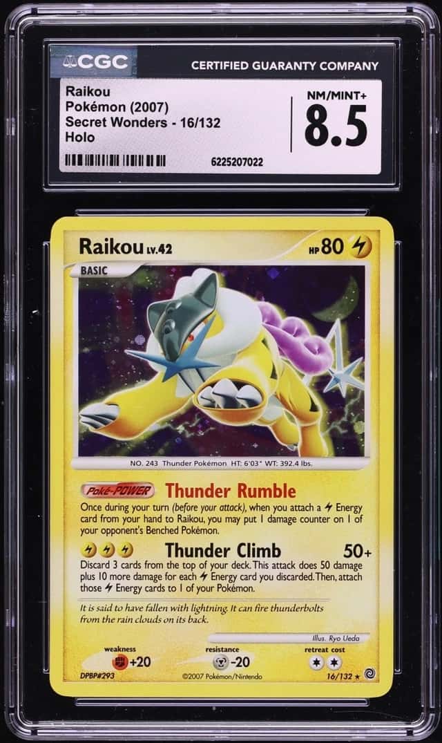 Raikou