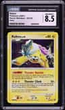 Raikou