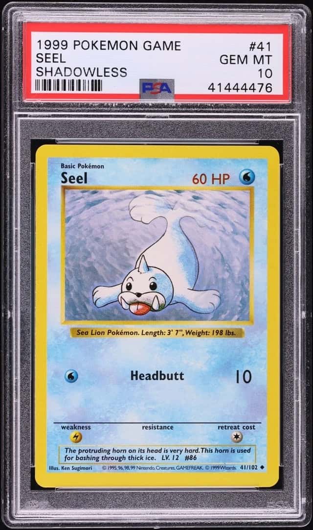 Seel