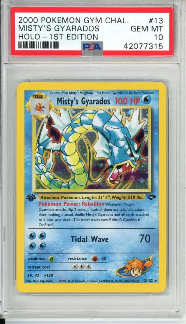 Misty's Gyarados