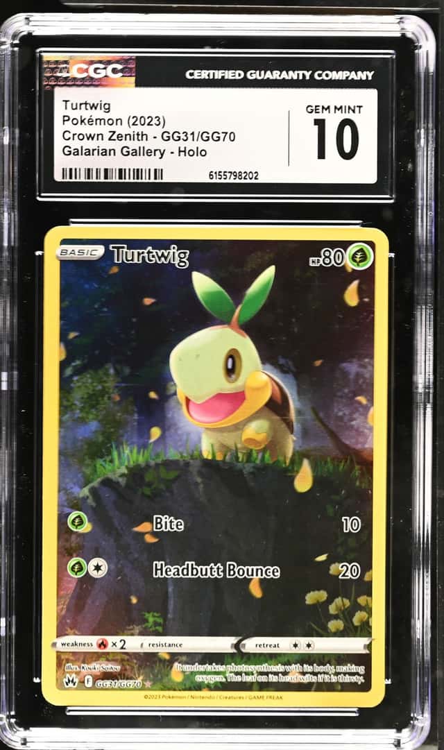 Turtwig
