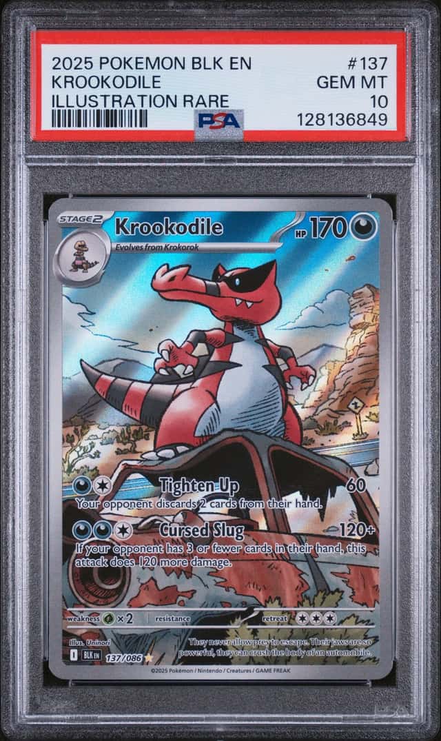 Krookodile