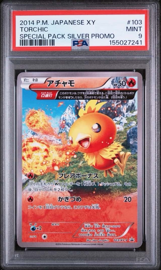 Torchic