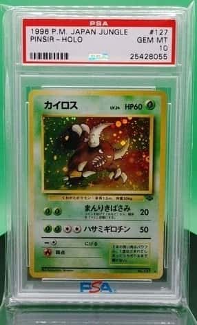 Pinsir