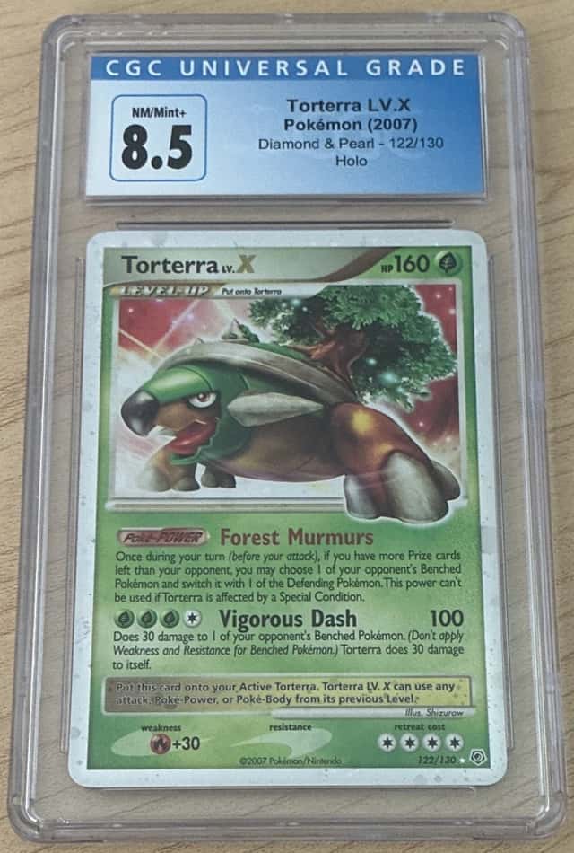 TORTERRA LV.X