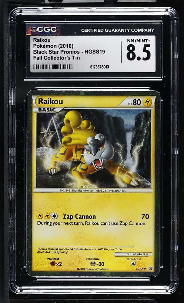 Raikou