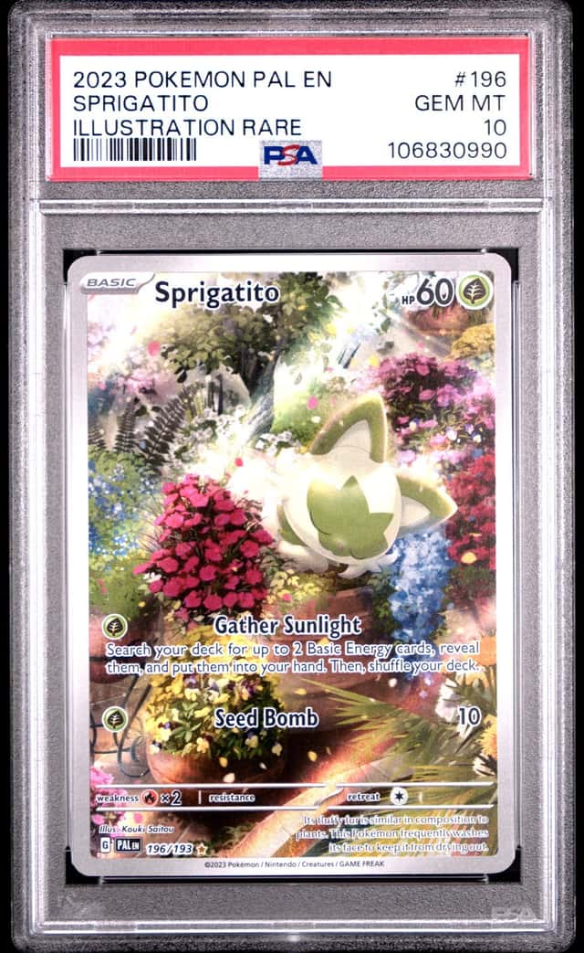 Sprigatito