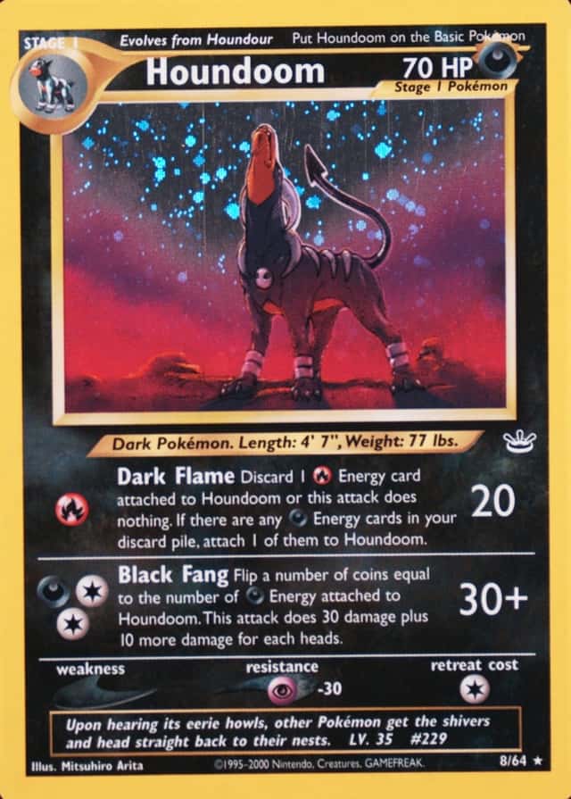 Holo