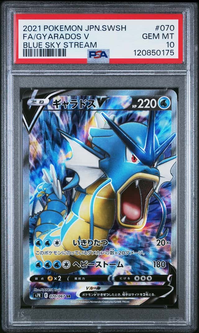 Gyarados V