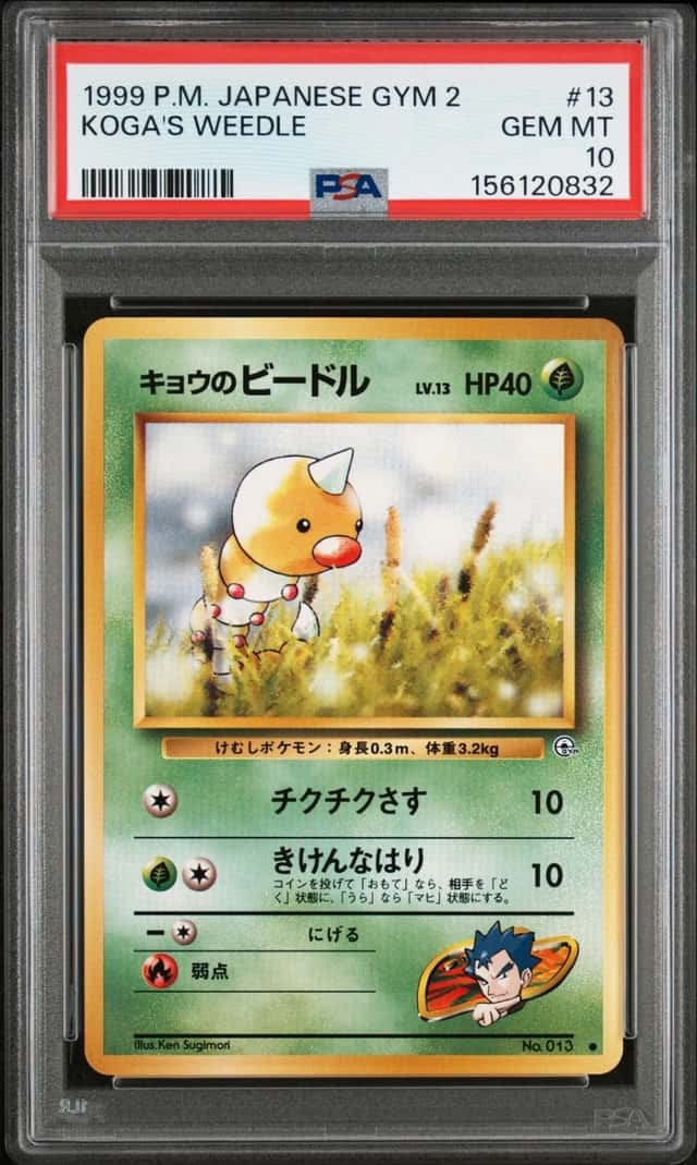 Koga's Weedle