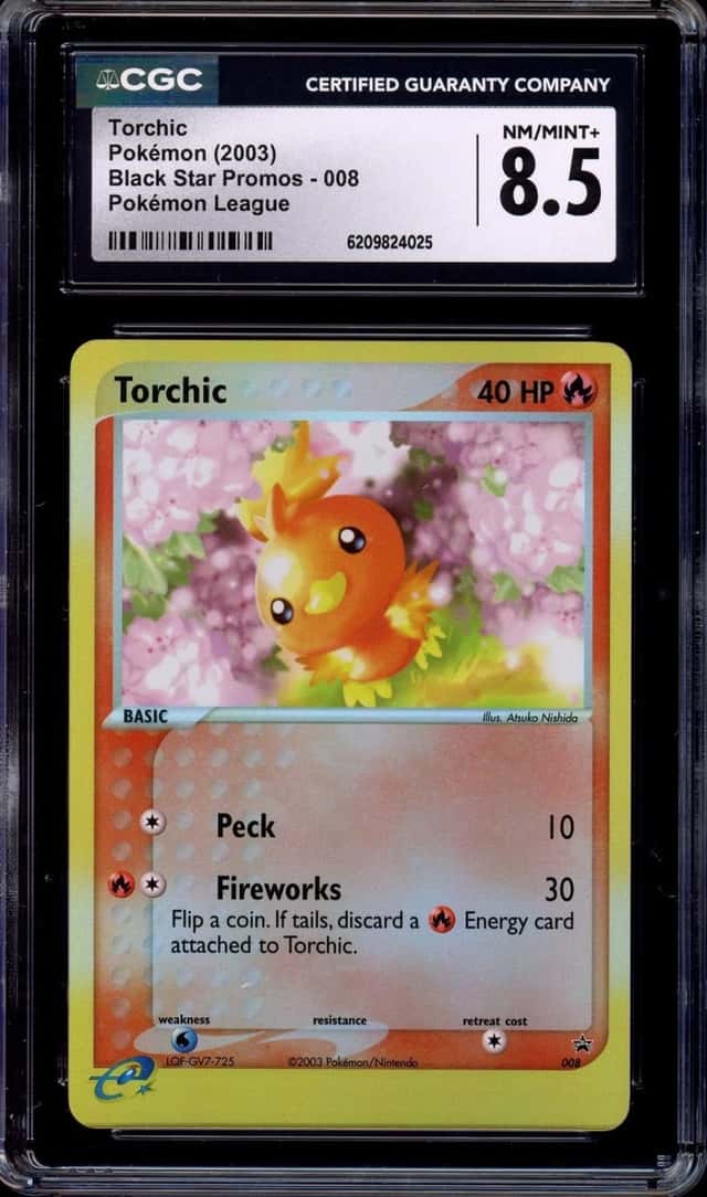 Torchic