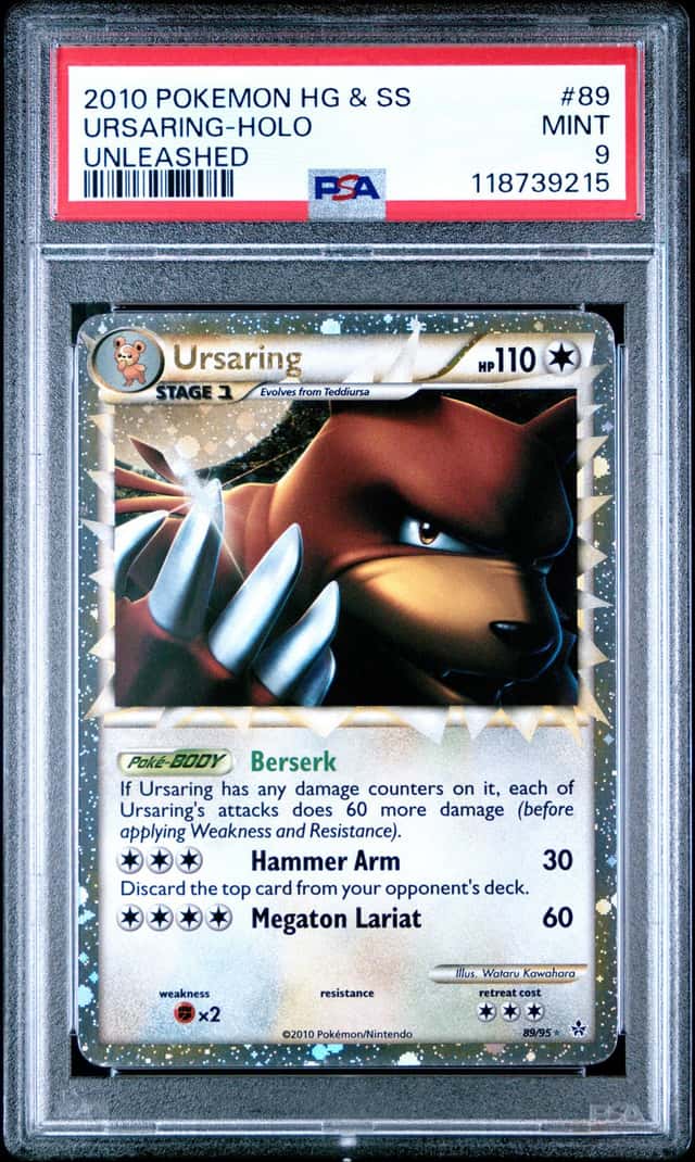 Ursaring