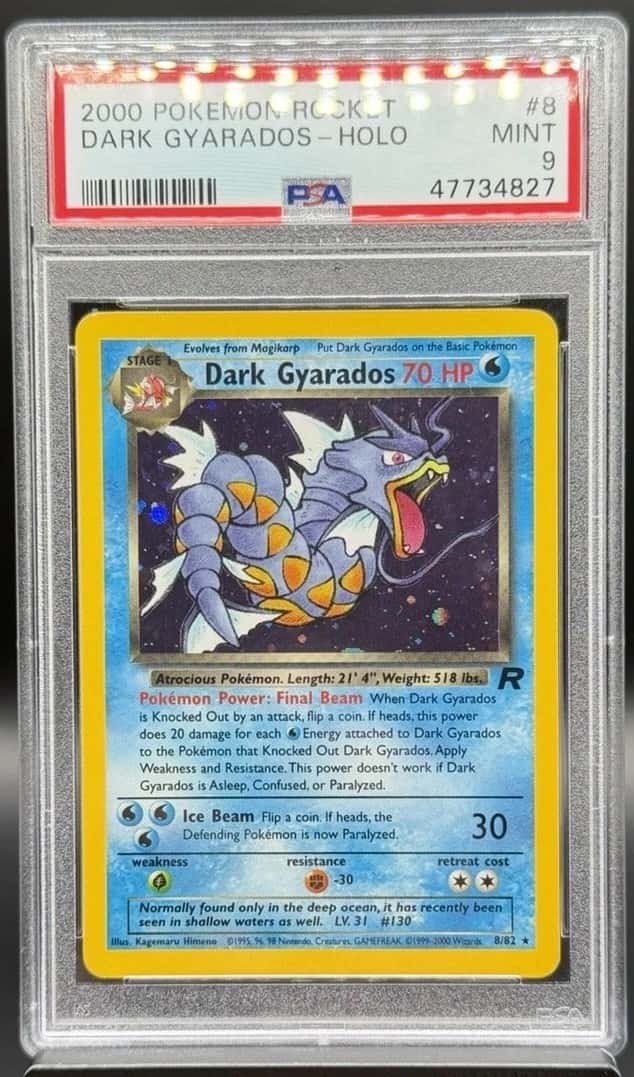 Dark Gyarados