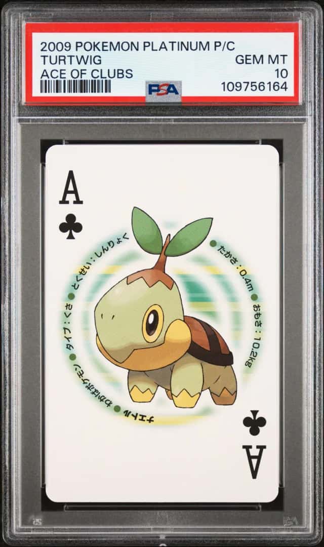Turtwig