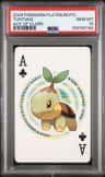 Turtwig