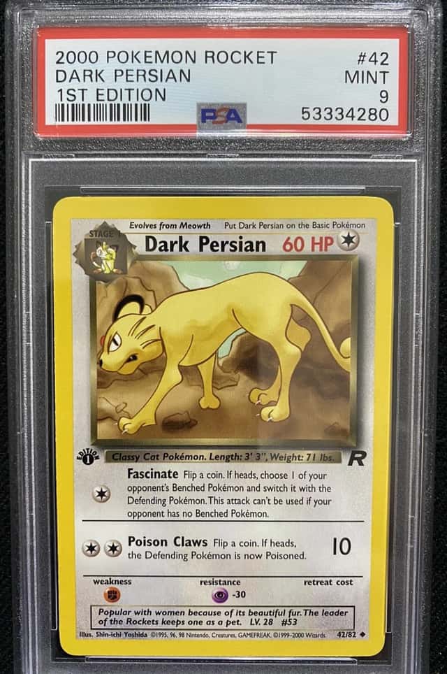 Dark Persian