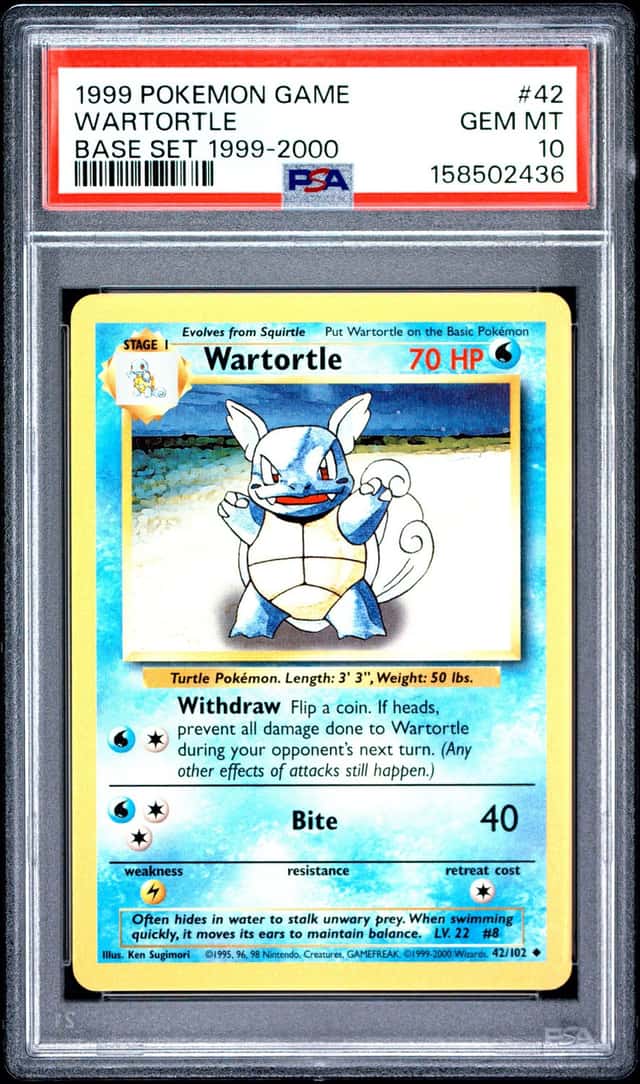 Wartortle