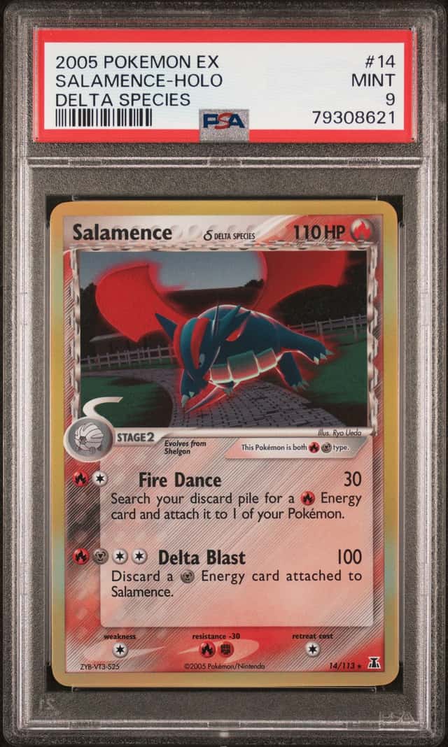 Salamence