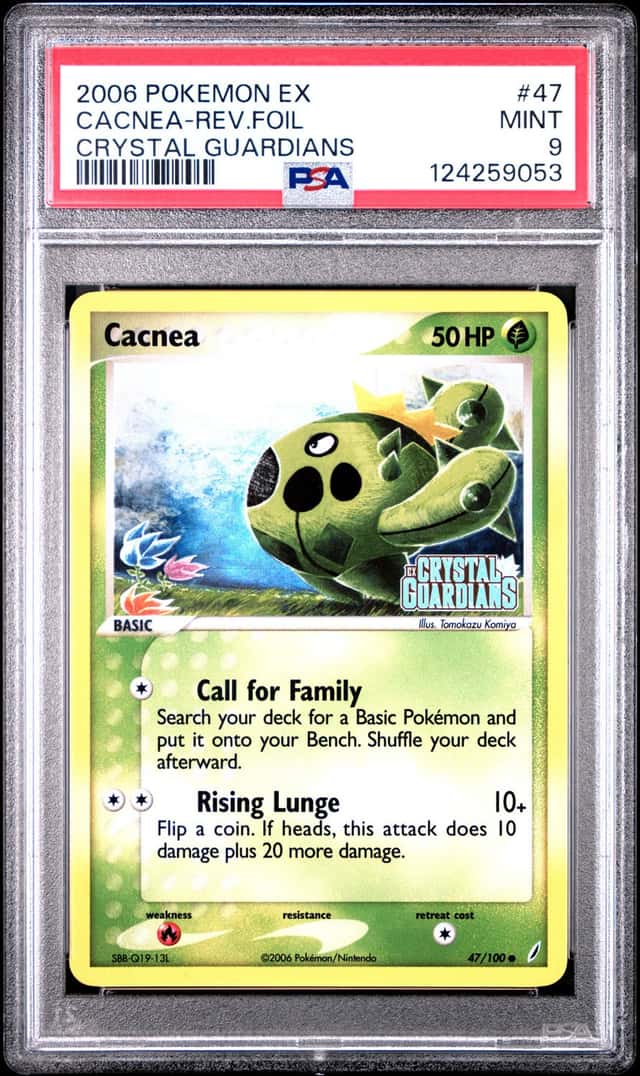 Cacnea