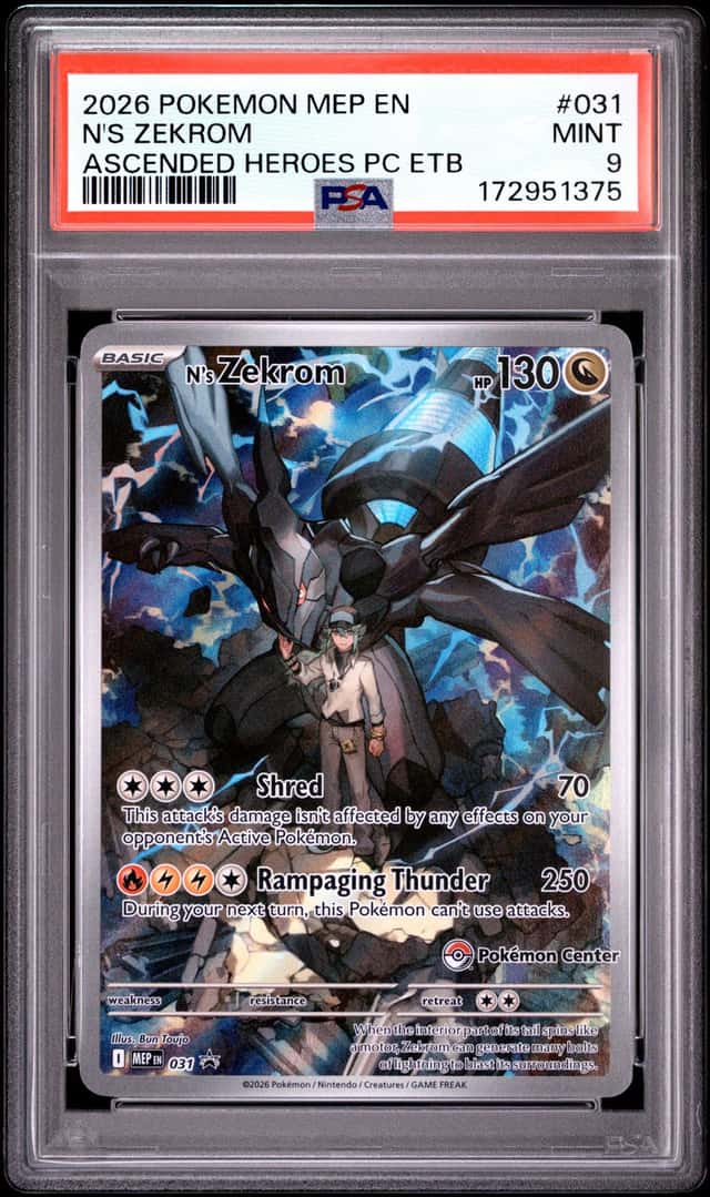 N's Zekrom