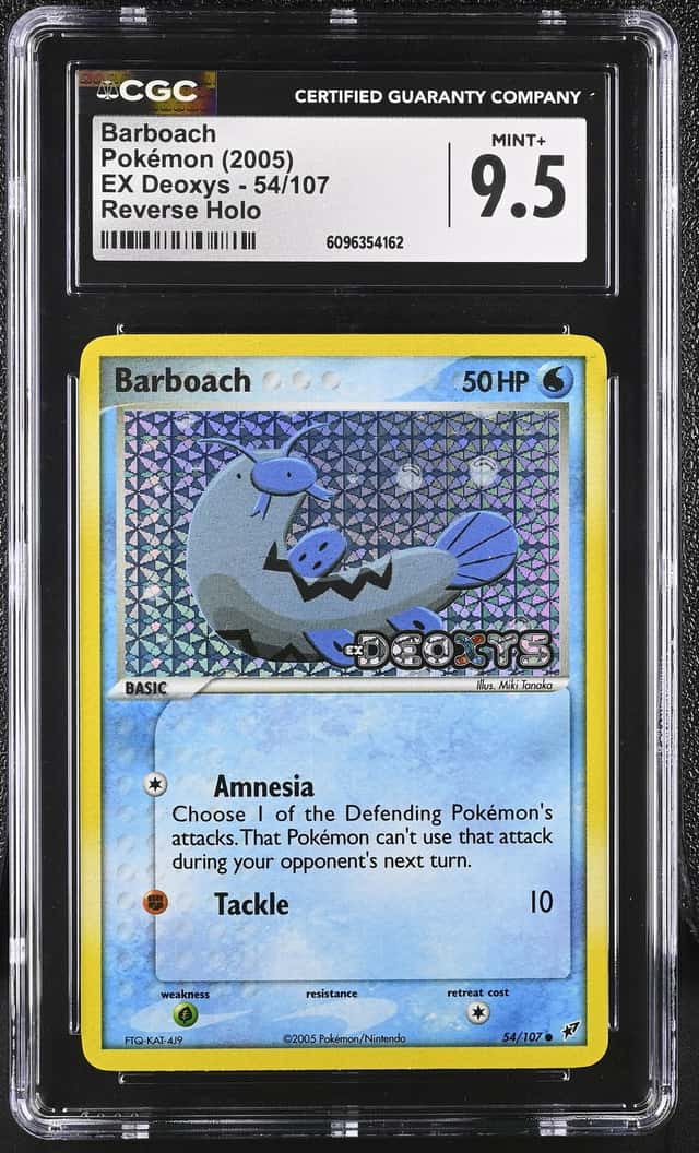 Barboach