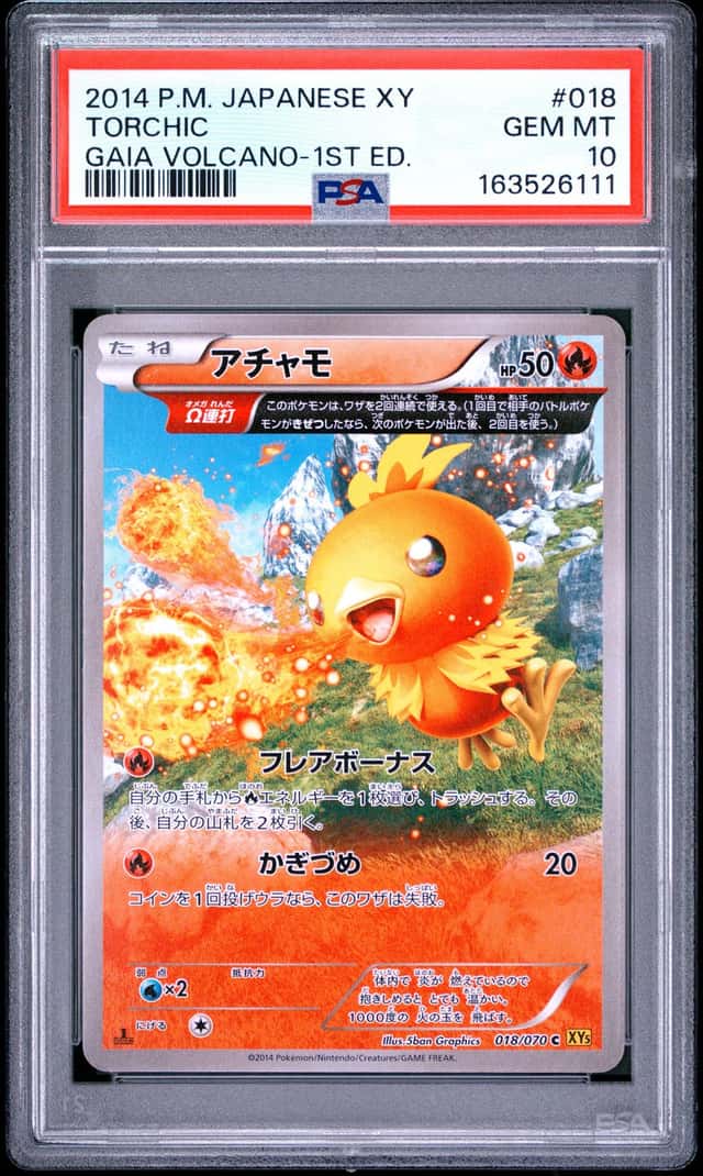 Torchic