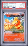 Torchic