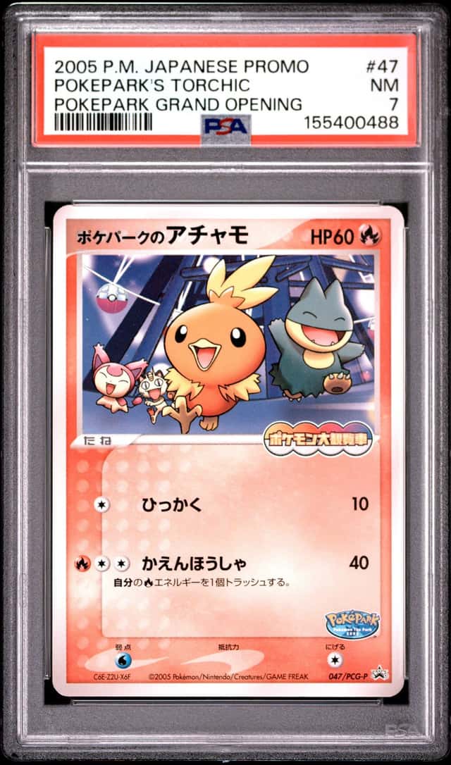 Pokepark's Torchic