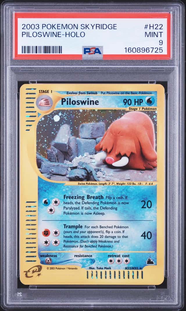 Piloswine