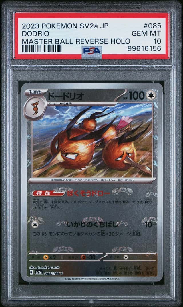 Dodrio