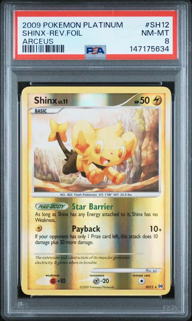 Shinx