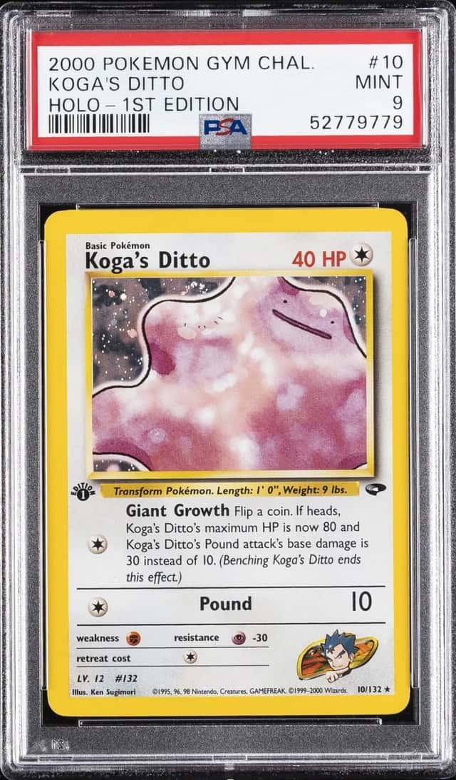 Koga's Ditto