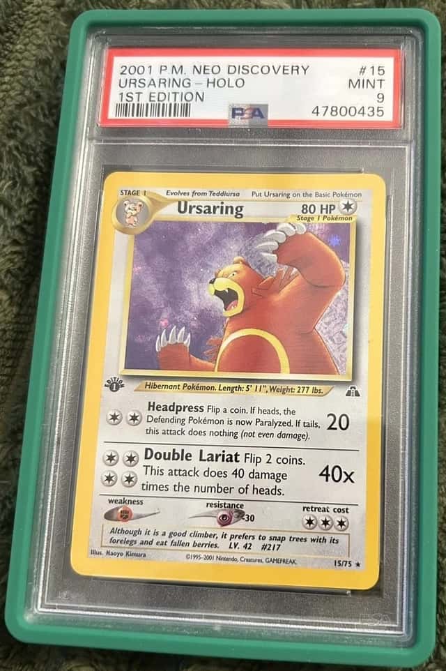 Ursaring