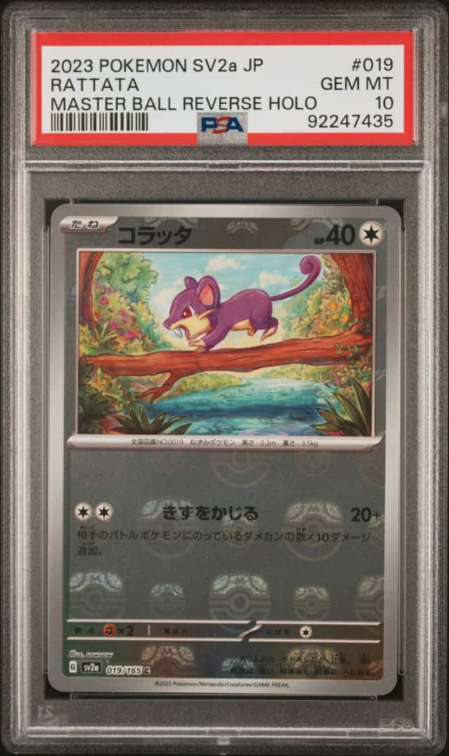 Rattata
